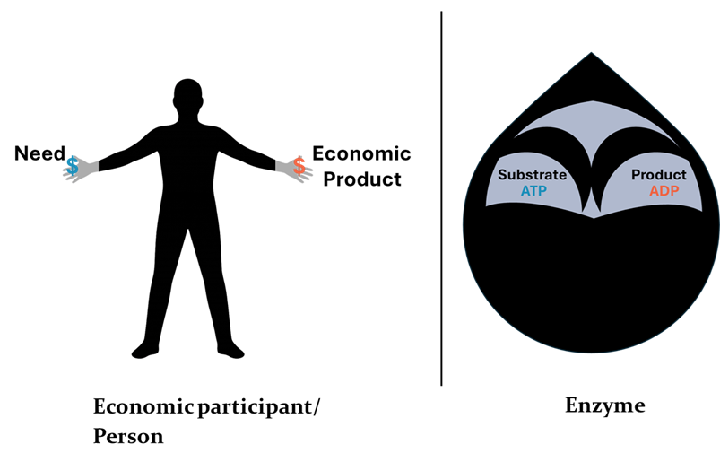 Treatise on Enzymatic Economics Download